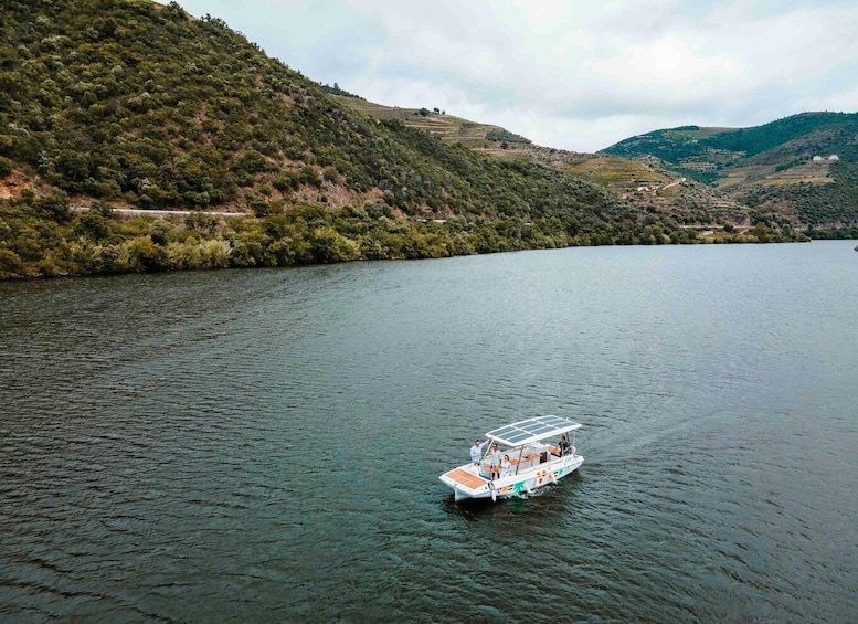 Picture 9 for Activity Pinhao: Douro River Solar Boat Tour - Wine Tasting Included