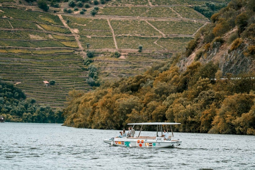 Picture 3 for Activity Pinhão: Douro River Solar Boat Tour with Wine Tasting