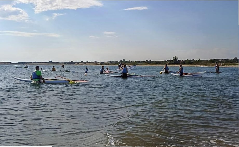 Thessaloniki: Private Windsurfing Lesson with an Expert