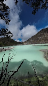 Bandung : White Crater, Tea Plantation Tour Guide Bandung