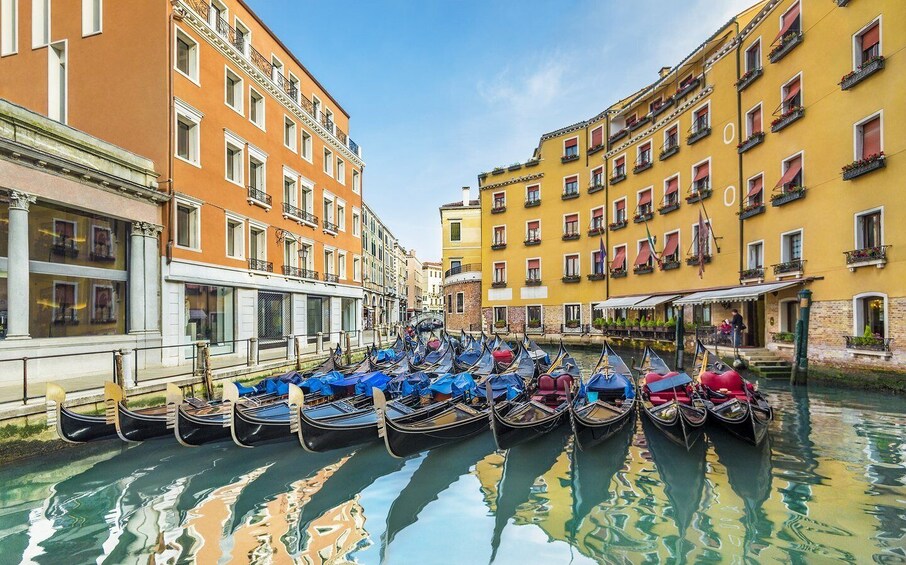 Picture 3 for Activity Venice: City Highlights Walking Tour with Optional Gondola