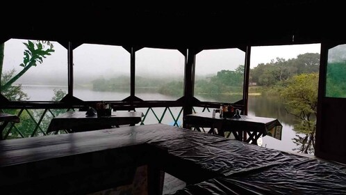 Dari Manaus: Tamasya Hutan Amazon dan Danau Ipanema selama 2 hari