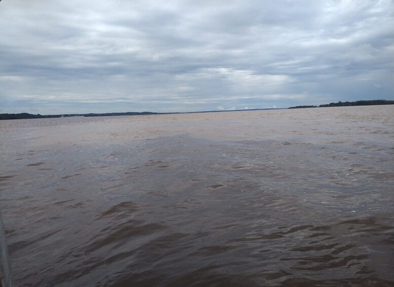 Picture 1 for Activity From Manaus: 2-Day Amazon Jungle and Ipanema Lake Excursion