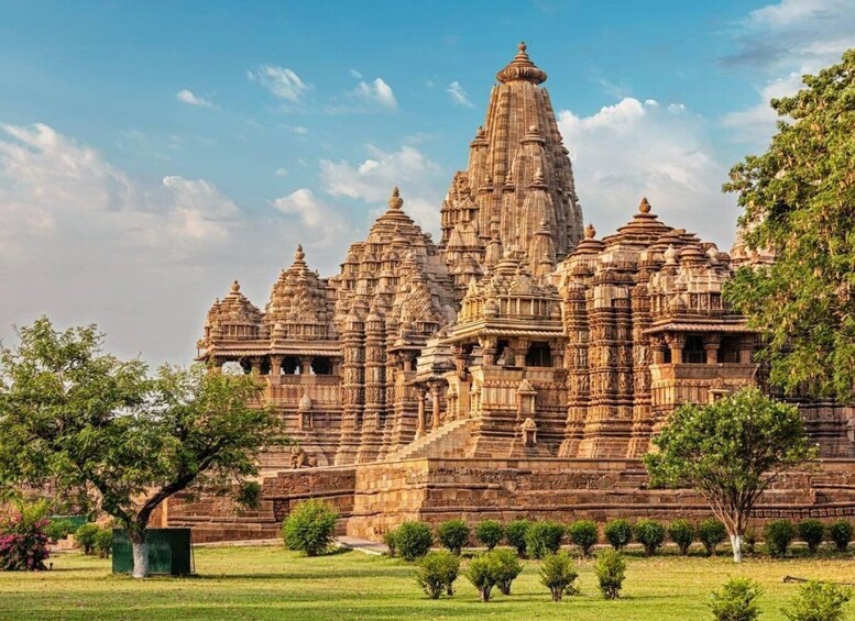 Picture 4 for Activity From Khajuraho: Full-Day Sightseeing Tour with Tiger Safari