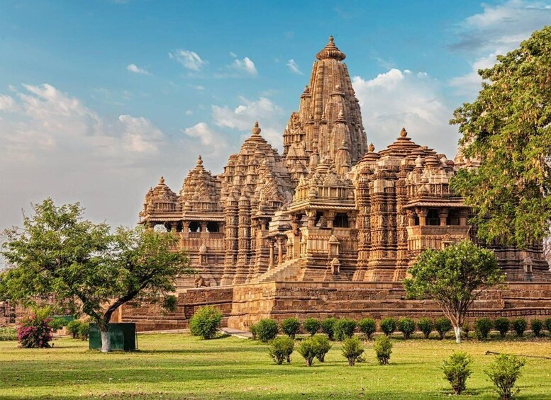 Picture 4 for Activity From Khajuraho: Full-Day Sightseeing Tour with Tiger Safari