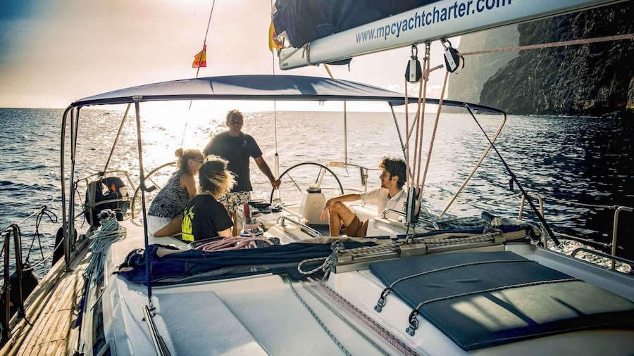 Picture 9 for Activity Los Gigantes: Whales and Dolphin Watching Cruise with Lunch