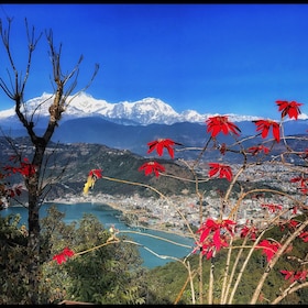1 Day Pokhara Tour from Kathmandu by flight