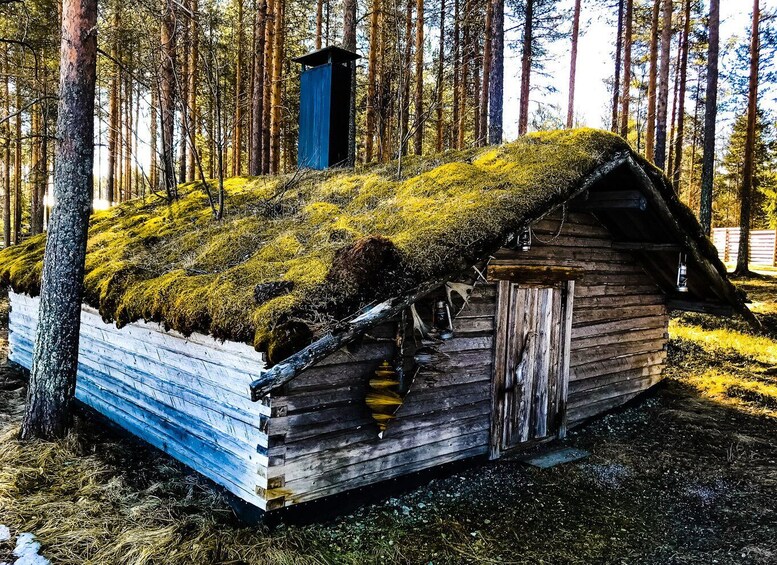 Picture 2 for Activity Rovaniemi: Summer Reindeer Farm Experience