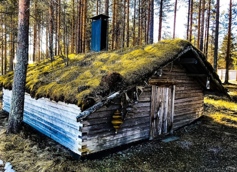 Picture 2 for Activity Rovaniemi: Summer Reindeer Farm Experience