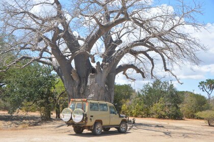 5-Day Mikumi National Park to Selous GR + Boat Safari