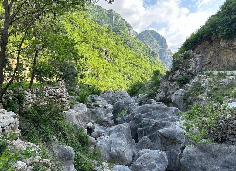 Picture 6 for Activity From Durres/Golem: Bovilla lake view with hiking - Day trip