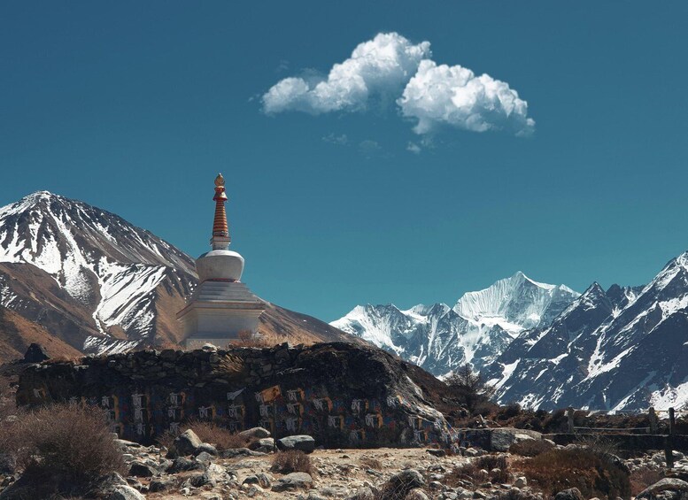 Picture 3 for Activity Langtang Heritage Trek - 14 Days