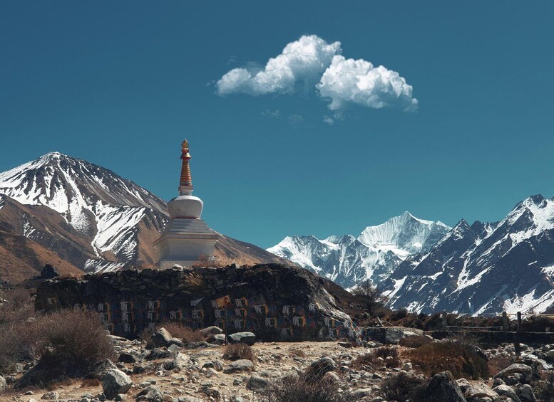 Picture 3 for Activity Langtang Heritage Trek - 14 Days