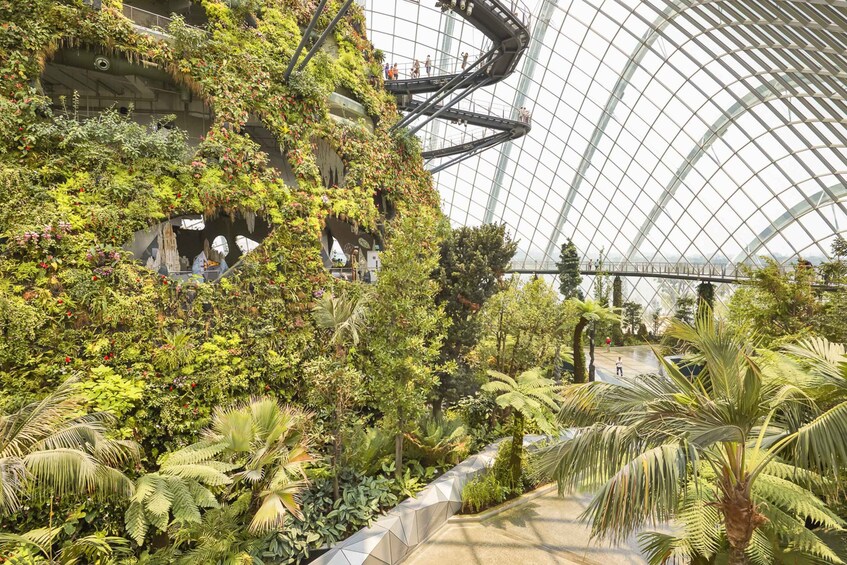 Picture 3 for Activity Singapore: Gardens by the Bay Admission E-Ticket