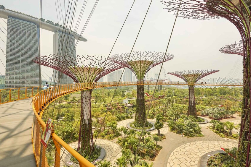 Picture 2 for Activity Singapore: Gardens by the Bay Admission E-Ticket