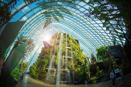 Singapur: entrada electrónica a Gardens by the Bay