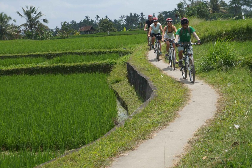 Picture 5 for Activity Kuta: Kintamani Culture and Nature Guided Cycling Tour