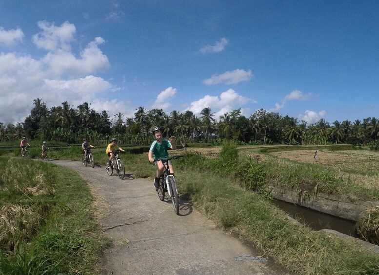 Picture 3 for Activity Kuta: Kintamani Culture and Nature Guided Cycling Tour