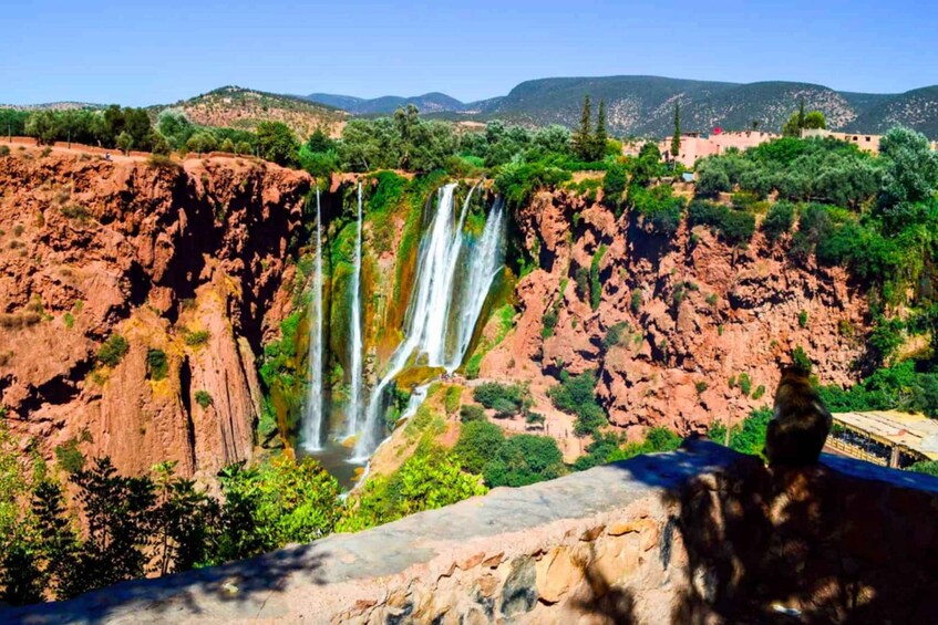 Picture 8 for Activity From Marrakech: Ouzoud Waterfalls Guided and Boat Ride