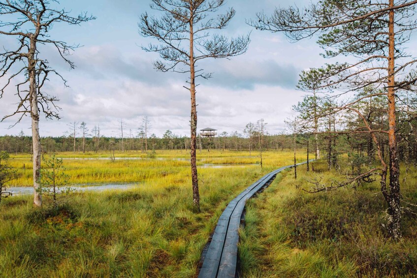 Picture 1 for Activity From Tallinn: Lahemaa National Park Day Tour