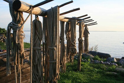 De Tallinn : Visite de la journée du parc national de Lahemaa