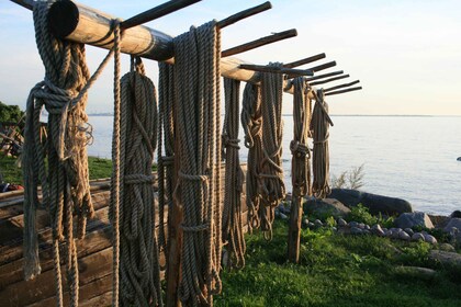 Desde Tallin: tour de un día al Parque Nacional Lahemaa