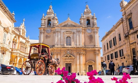 Malta: Mdina, Dingli Cliffs and San Anton Botanical Gardens