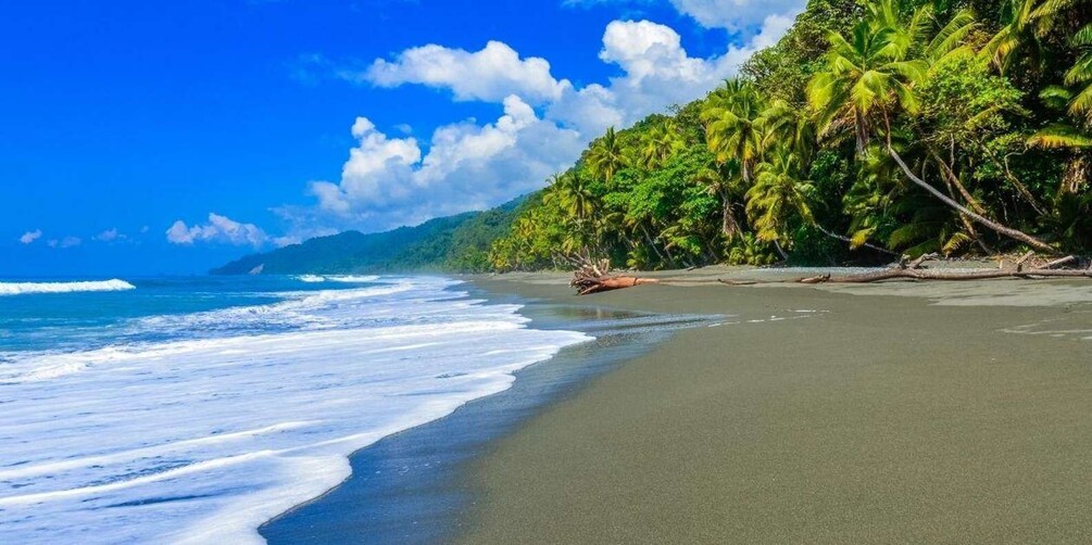 Picture 4 for Activity Costa rica travel planning - tailor -made trips