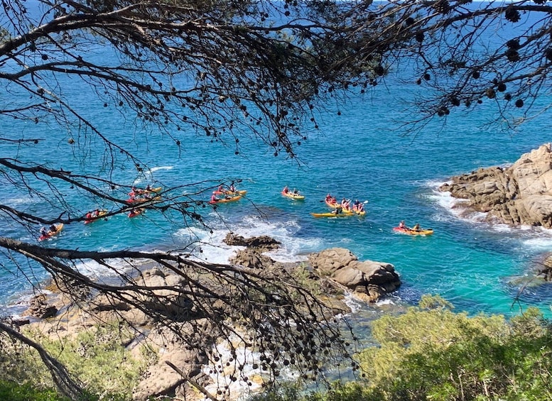Lloret de Mar: 3-Hour Kayak and Snorkel Tour on Costa Brava