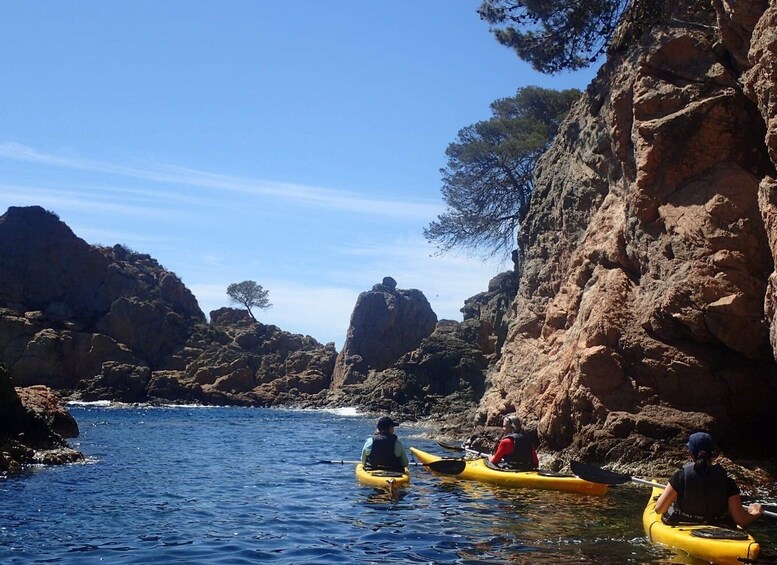 Picture 2 for Activity Lloret de Mar: Kayak and Snorkel Excursion in Costa Brava