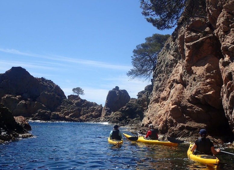 Picture 2 for Activity Lloret de Mar: 3-Hour Kayak and Snorkel Tour on Costa Brava