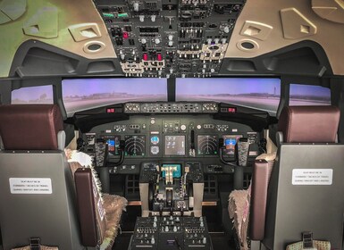 Simulador profesional de Boeing 737-800 - 100 minutos