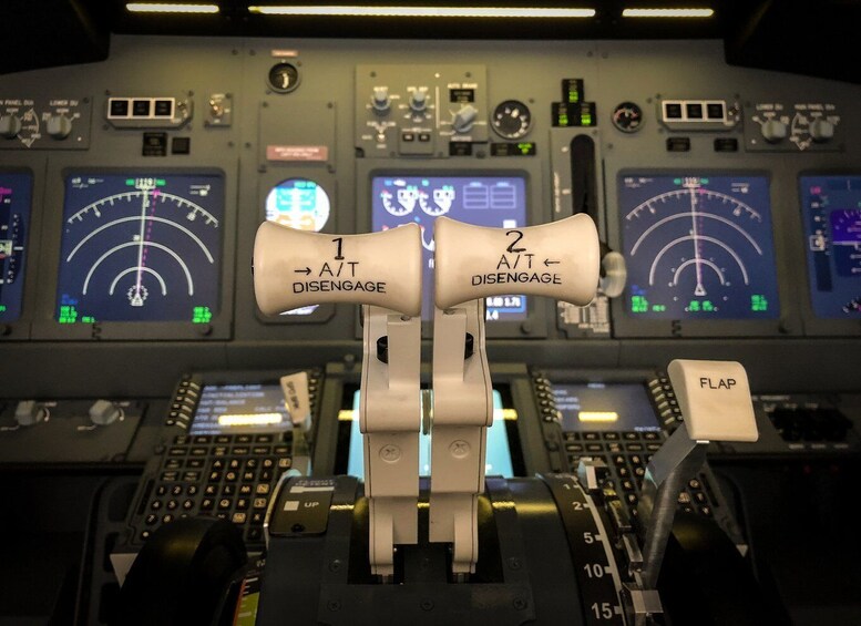 Picture 3 for Activity Professional Boeing 737-800 simulator - 100 minutes