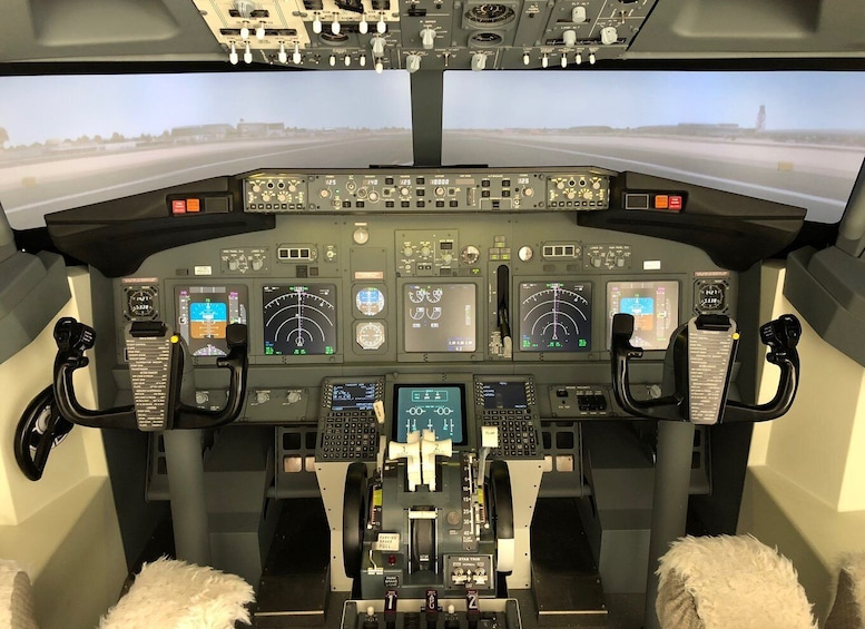 Picture 4 for Activity Professional Boeing 737-800 simulator - 100 minutes