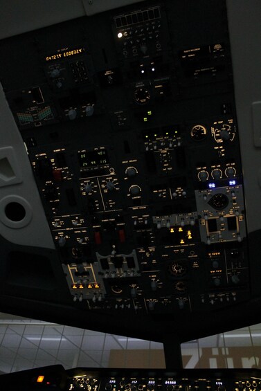 Picture 9 for Activity Professional Boeing 737-800 simulator - 100 minutes