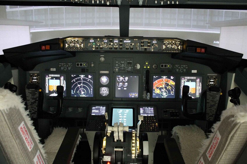 Picture 5 for Activity Professional Boeing 737-800 simulator - 100 minutes