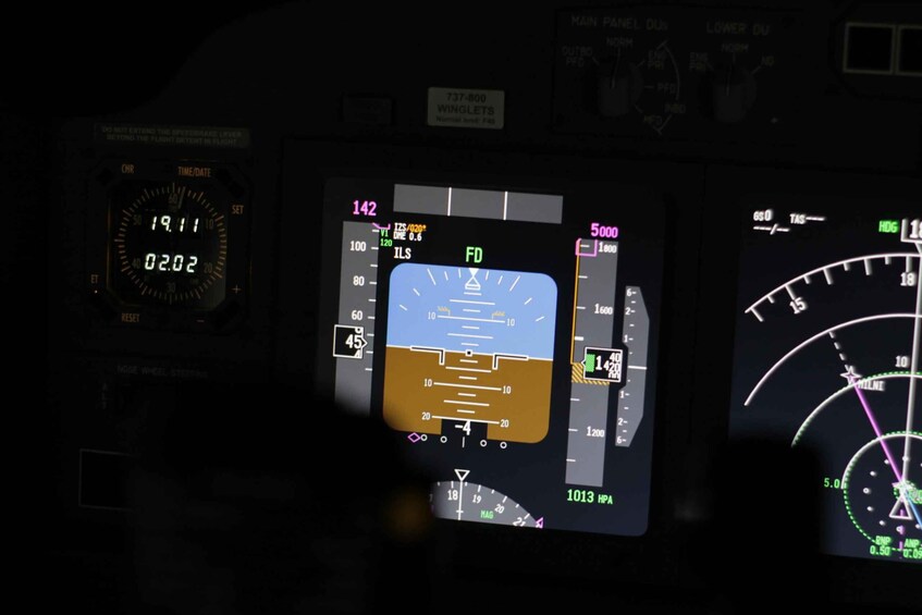 Picture 8 for Activity Professional Boeing 737-800 simulator - 100 minutes