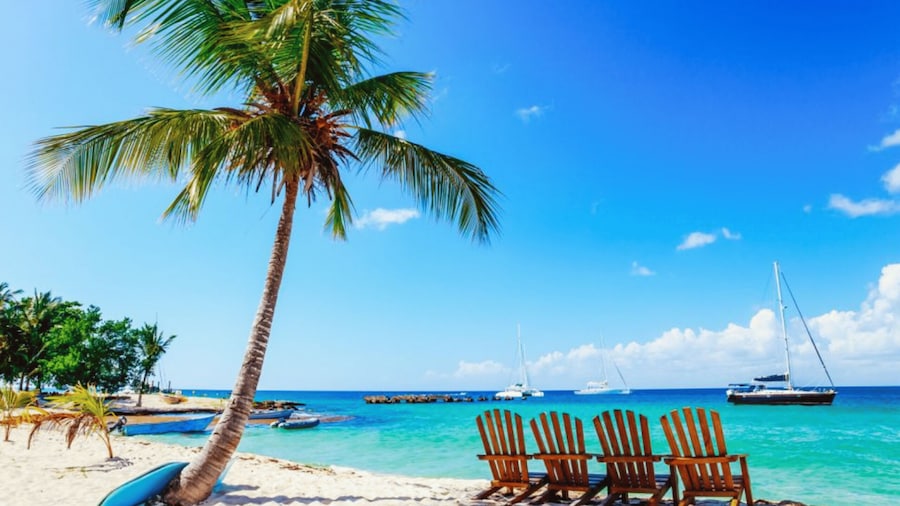 Punta Cana: Catamaran Boat to Saona Island with Buffet Lunch