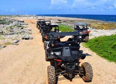 Off road buggy tour in Curacao