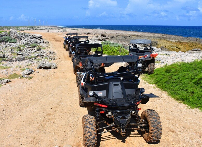 Off road buggy tour in curacao