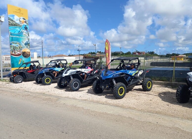 Picture 7 for Activity Off road buggy tour in curacao
