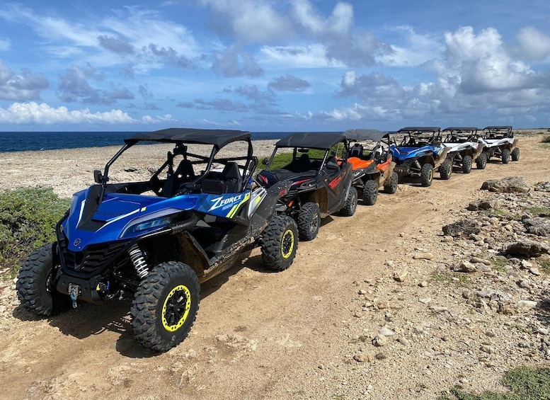 Picture 8 for Activity Off road buggy tour in curacao