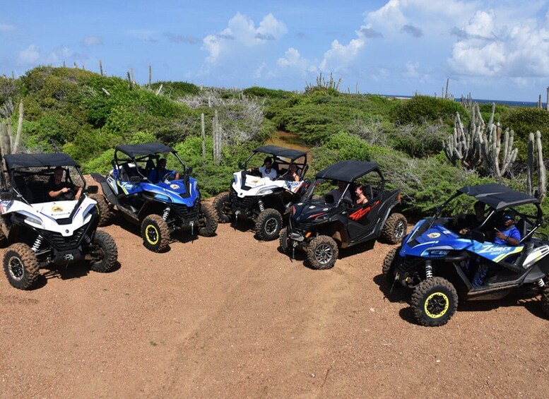 Picture 1 for Activity Off road buggy tour in curacao