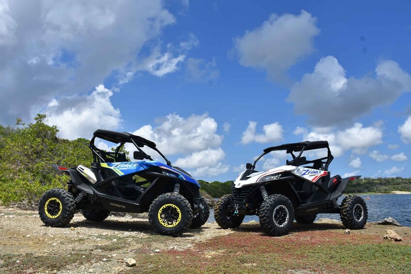 Picture 5 for Activity Off road buggy tour in curacao