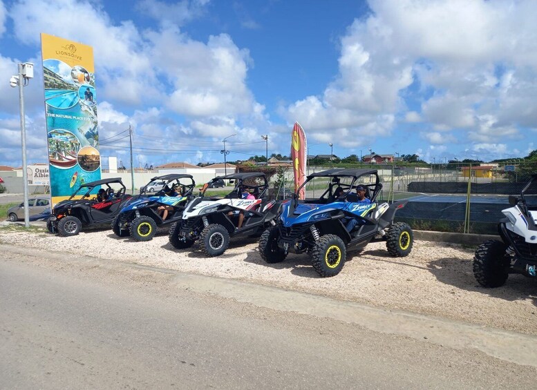 Picture 7 for Activity Off road buggy tour in curacao