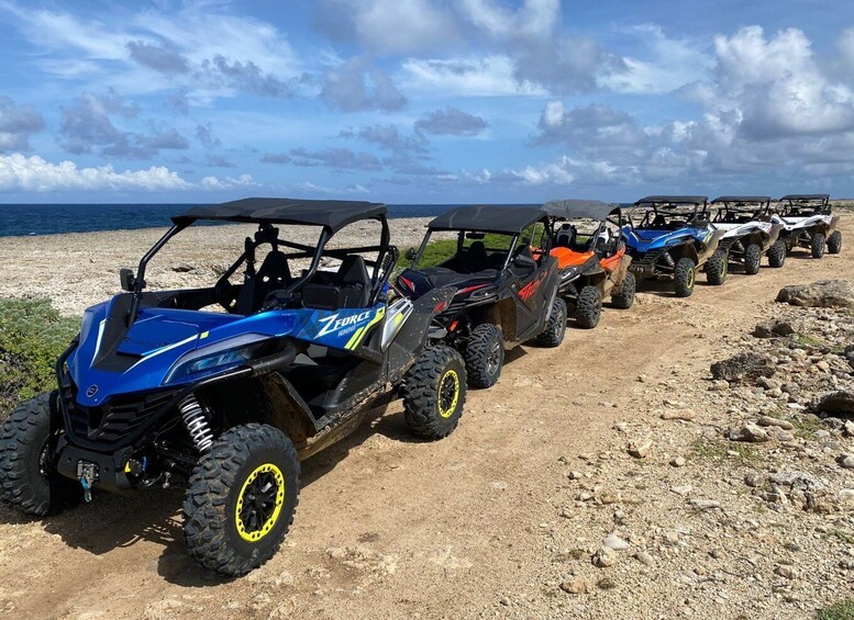 Picture 8 for Activity Off road buggy tour in curacao