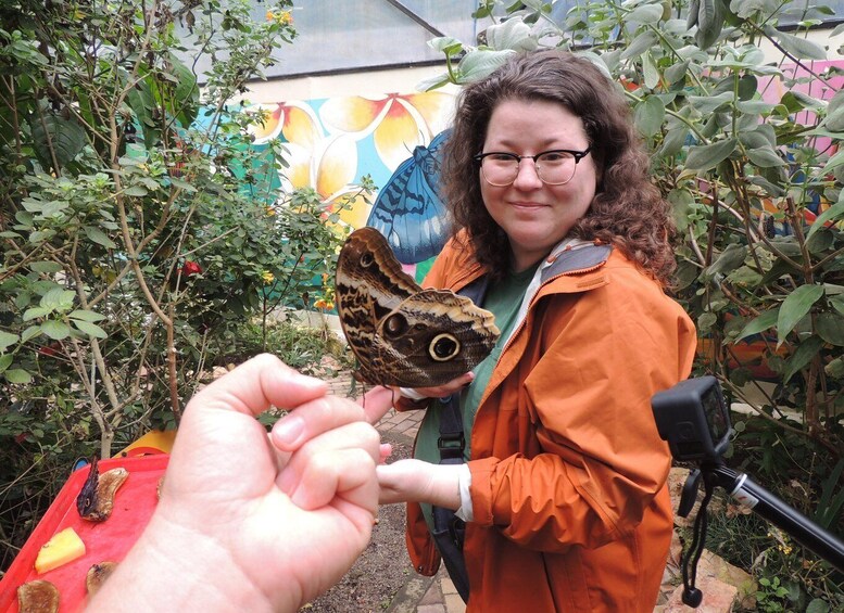 Picture 18 for Activity From Quito: Guided Day Trip to the Mindo Cloud Forest