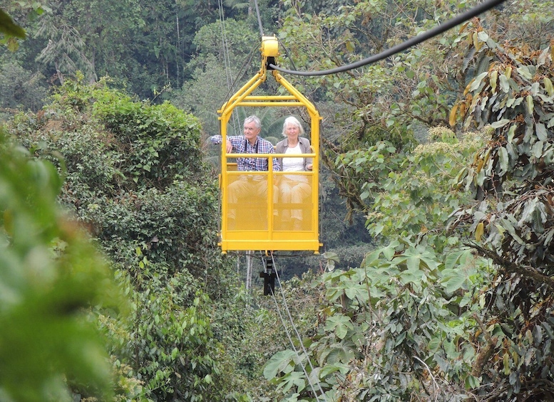 Picture 5 for Activity From Quito: Guided Day Trip to the Mindo Cloud Forest