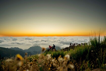 Sunset Madeira highlights route with food and drinks.