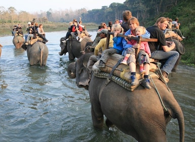 Chitwan Jungle Safari Tour: 3-dagars Chitwan National Park Tour